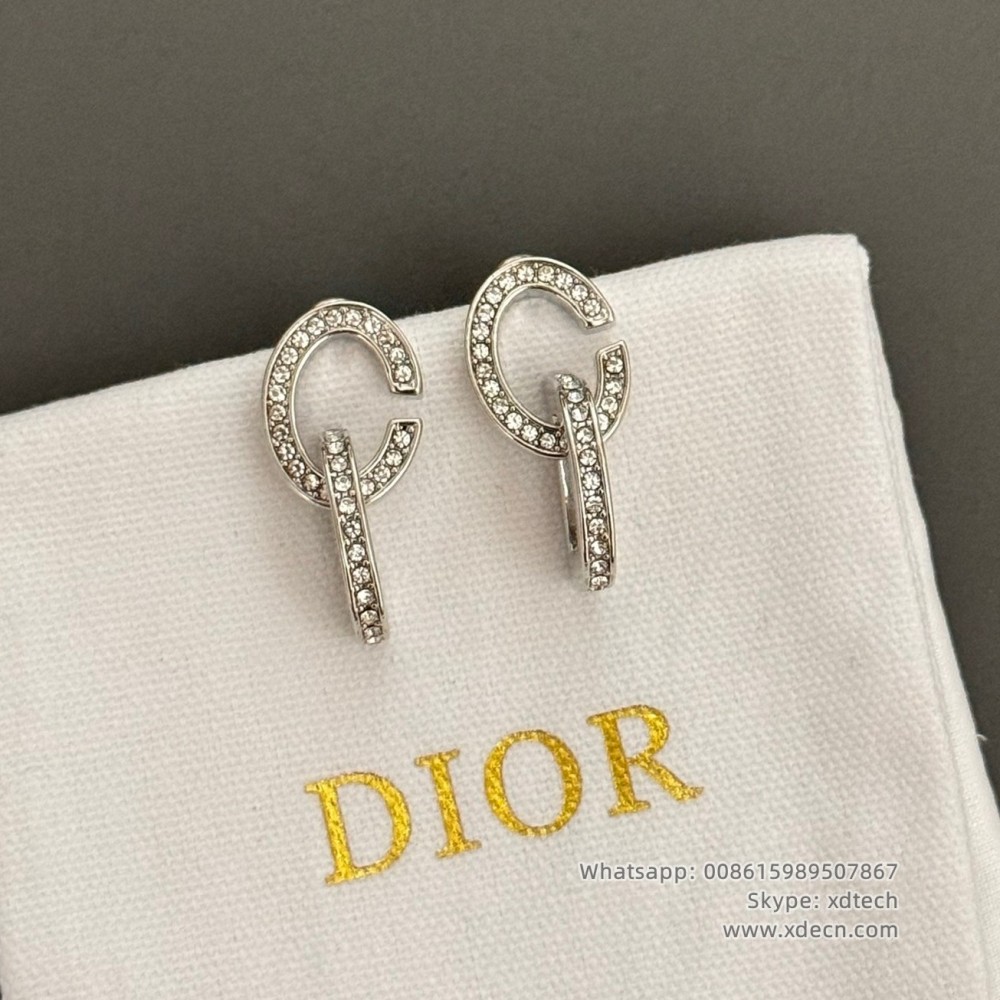 Dior Earrings, Dior Logo Earrings